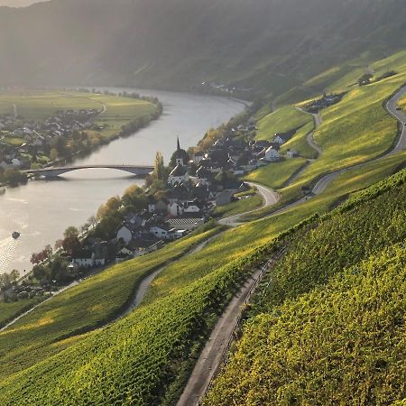 Weingut Lehnert-Spaeter 皮斯波特 外观 照片