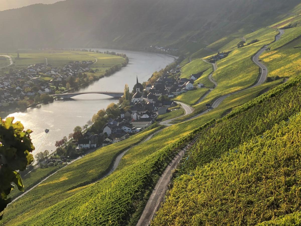Weingut Lehnert-Spaeter 皮斯波特 外观 照片